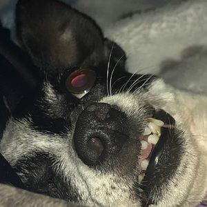 Meet your Posher, Avery